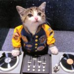 DJ at Cat's Corner!