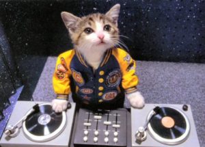 DJ at Cat's Corner!
